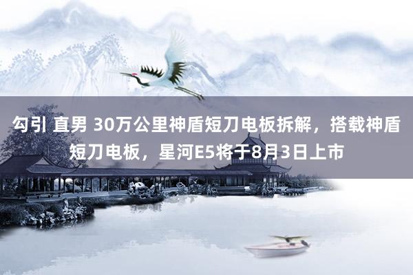 勾引 直男 30万公里神盾短刀电板拆解，搭载神盾短刀电板，星河E5将于8月3日上市