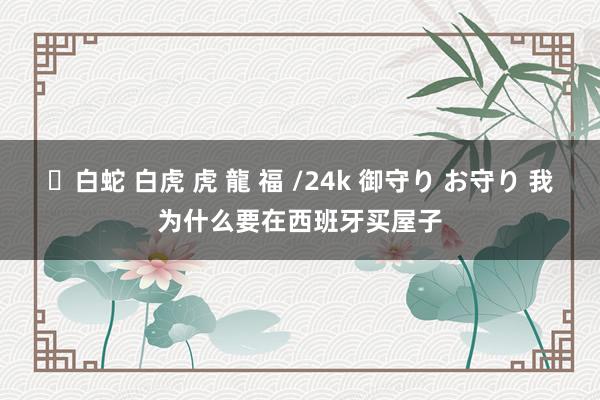 ✨白蛇 白虎 虎 龍 福 /24k 御守り お守り 我为什么要在西班牙买屋子