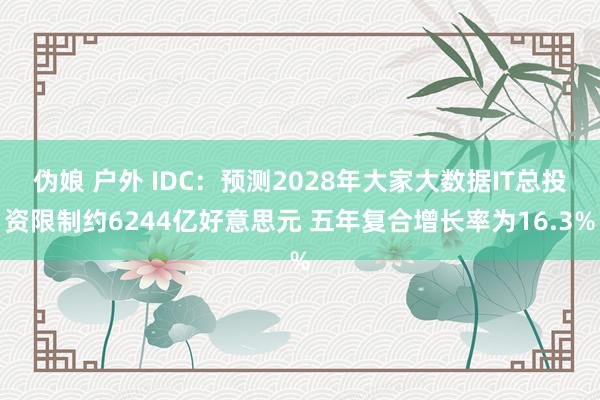 伪娘 户外 IDC：预测2028年大家大数据IT总投资限制约6244亿好意思元 五年复合增长率为16.3%