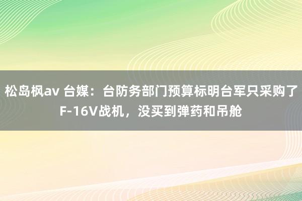 松岛枫av 台媒：台防务部门预算标明台军只采购了F-16V战机，没买到弹药和吊舱