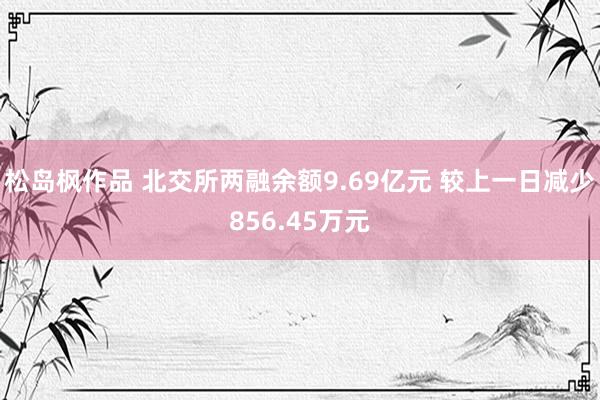 松岛枫作品 北交所两融余额9.69亿元 较上一日减少856.45万元