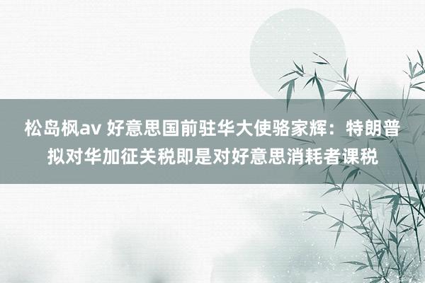 松岛枫av 好意思国前驻华大使骆家辉：特朗普拟对华加征关税即是对好意思消耗者课税