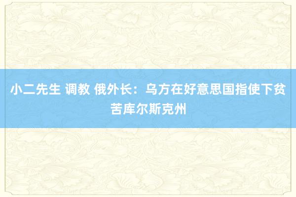 小二先生 调教 俄外长：乌方在好意思国指使下贫苦库尔斯克州