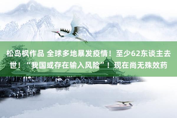 松岛枫作品 全球多地暴发疫情！至少62东谈主去世！“我国或存在输入风险”！现在尚无殊效药