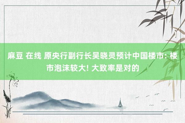 麻豆 在线 原央行副行长吴晓灵预计中国楼市: 楼市泡沫较大! 大致率是对的