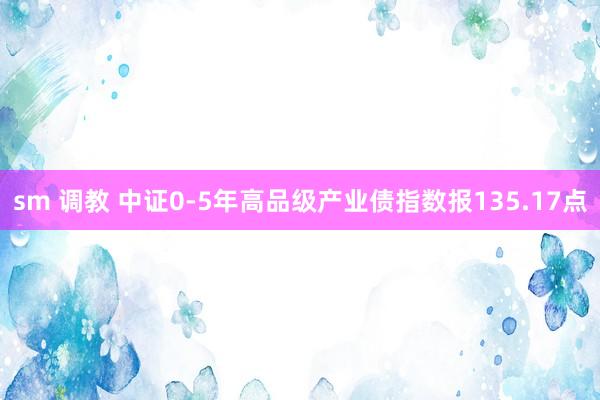 sm 调教 中证0-5年高品级产业债指数报135.17点