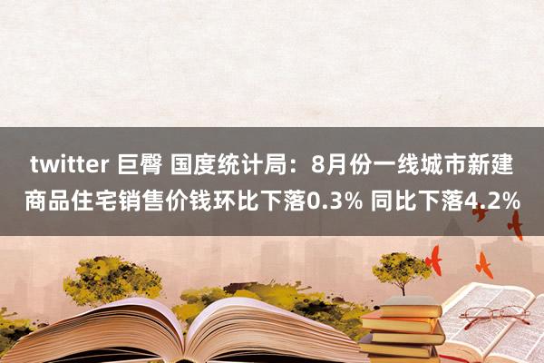 twitter 巨臀 国度统计局：8月份一线城市新建商品住宅销售价钱环比下落0.3% 同比下落4.2%