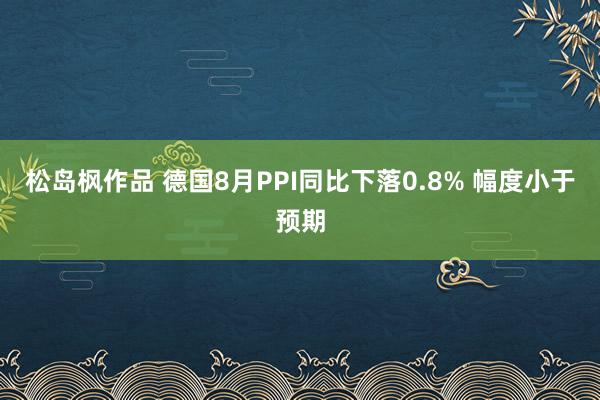 松岛枫作品 德国8月PPI同比下落0.8% 幅度小于预期