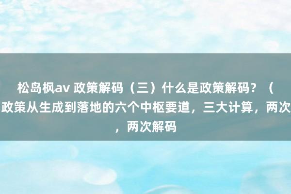 松岛枫av 政策解码（三）什么是政策解码？（中）政策从生成到落地的六个中枢要道，三大计算，两次解码