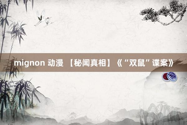 mignon 动漫 【秘闻真相】《“双鼠”谍案》