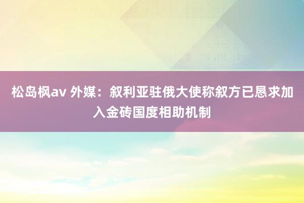 松岛枫av 外媒：叙利亚驻俄大使称叙方已恳求加入金砖国度相助机制