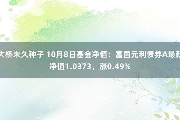 大桥未久种子 10月8日基金净值：富国元利债券A最新净值1.0373，涨0.49%