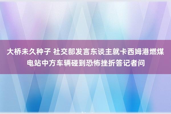 大桥未久种子 社交部发言东谈主就卡西姆港燃煤电站中方车辆碰到恐怖挫折答记者问