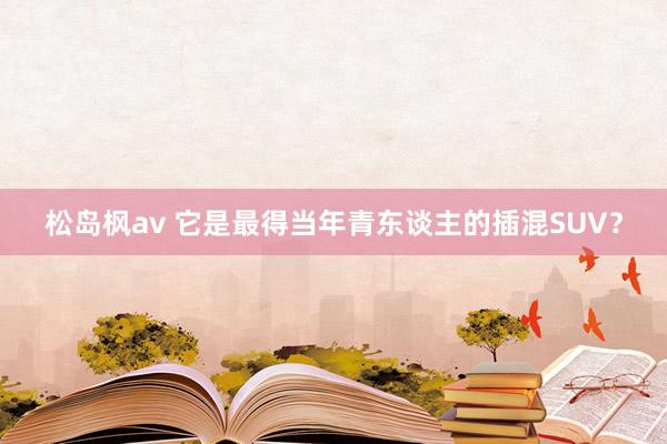 松岛枫av 它是最得当年青东谈主的插混SUV？