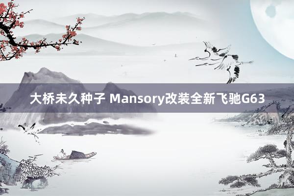 大桥未久种子 Mansory改装全新飞驰G63