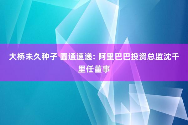 大桥未久种子 圆通速递: 阿里巴巴投资总监沈千里任董事