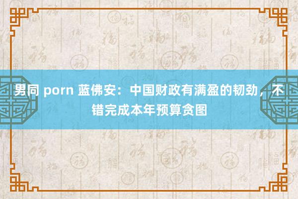 男同 porn 蓝佛安：中国财政有满盈的韧劲，不错完成本年预算贪图