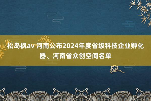 松岛枫av 河南公布2024年度省级科技企业孵化器、河南省众创空间名单