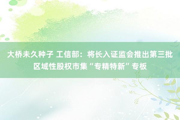 大桥未久种子 工信部：将长入证监会推出第三批区域性股权市集“专精特新”专板