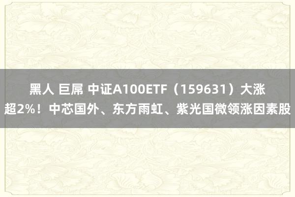 黑人 巨屌 中证A100ETF（159631）大涨超2%！中芯国外、东方雨虹、紫光国微领涨因素股