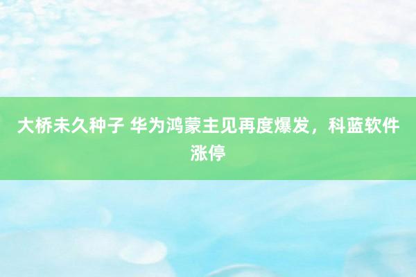 大桥未久种子 华为鸿蒙主见再度爆发，科蓝软件涨停