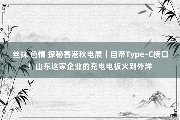 丝袜 色情 探秘香港秋电展｜自带Type-C接口！山东这家企业的充电电板火到外洋