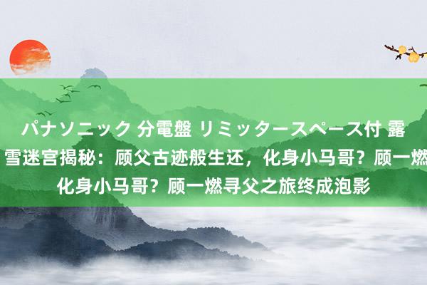 パナソニック 分電盤 リミッタースペース付 露出・半埋込両用形 雪迷宫揭秘：顾父古迹般生还，化身小马哥？顾一燃寻父之旅终成泡影