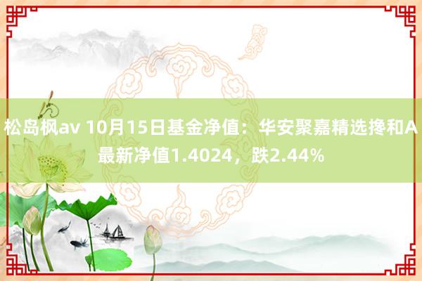 松岛枫av 10月15日基金净值：华安聚嘉精选搀和A最新净值1.4024，跌2.44%