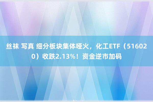 丝袜 写真 细分板块集体哑火，化工ETF（516020）收跌2.13%！资金逆市加码