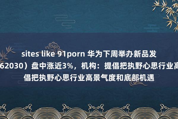 sites like 91porn 华为下周举办新品发布会！信创ETF（562030）盘中涨近3%，机构：提倡把执野心思行业高景气度和底部机遇