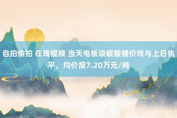 自拍偷拍 在线视频 当天电板级碳酸锂价钱与上日执平，均价报7.20万元/吨