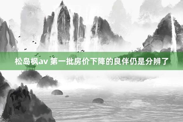 松岛枫av 第一批房价下降的良伴仍是分辨了