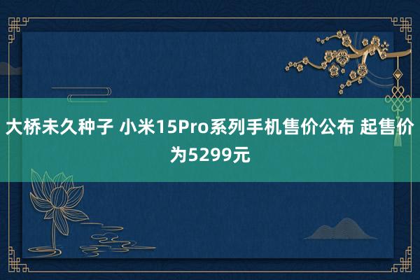 大桥未久种子 小米15Pro系列手机售价公布 起售价为5299元