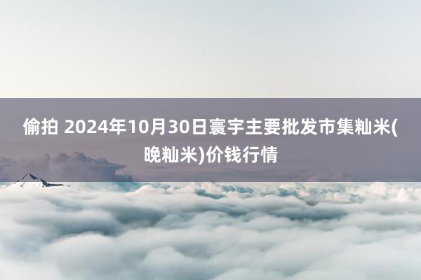 偷拍 2024年10月30日寰宇主要批发市集籼米(晚籼米)价钱行情