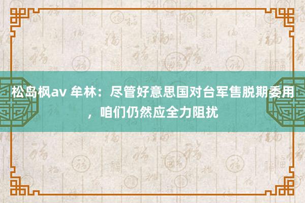 松岛枫av 牟林：尽管好意思国对台军售脱期委用，咱们仍然应全力阻扰