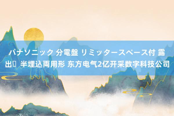 パナソニック 分電盤 リミッタースペース付 露出・半埋込両用形 东方电气2亿开采数字科技公司