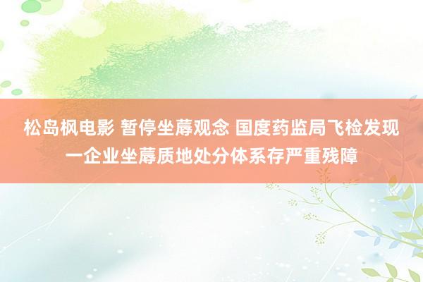 松岛枫电影 暂停坐蓐观念 国度药监局飞检发现一企业坐蓐质地处分体系存严重残障