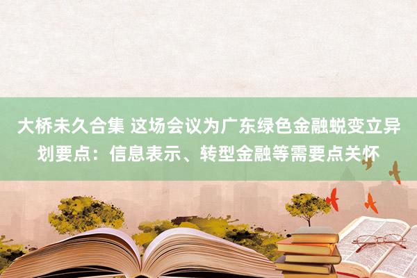 大桥未久合集 这场会议为广东绿色金融蜕变立异划要点：信息表示、转型金融等需要点关怀