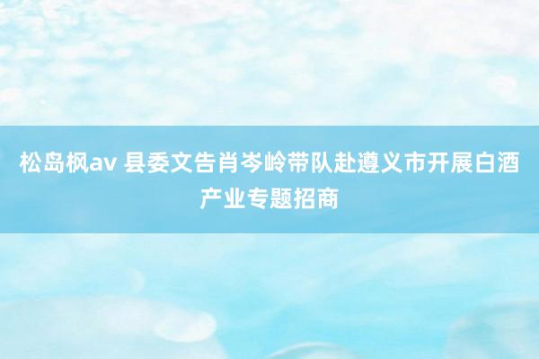 松岛枫av 县委文告肖岑岭带队赴遵义市开展白酒产业专题招商