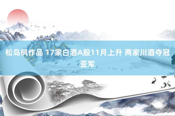 松岛枫作品 17家白酒A股11月上升 两家川酒夺冠亚军