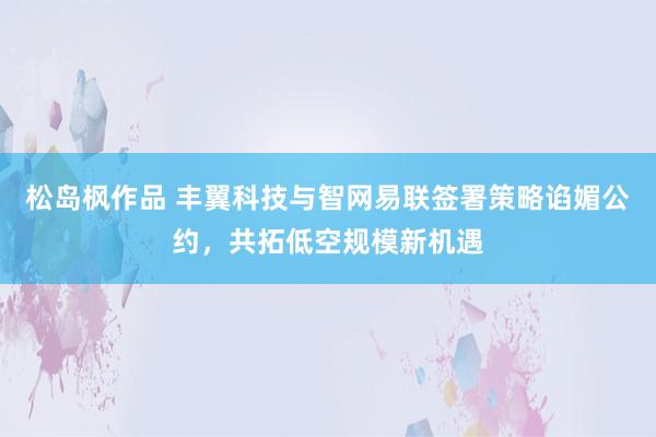 松岛枫作品 丰翼科技与智网易联签署策略谄媚公约，共拓低空规模新机遇