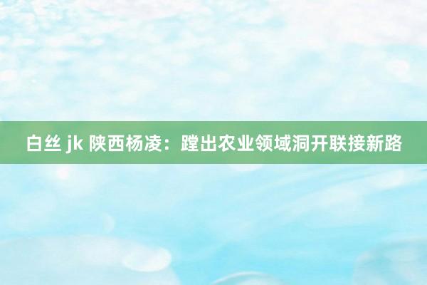 白丝 jk 陕西杨凌：蹚出农业领域洞开联接新路