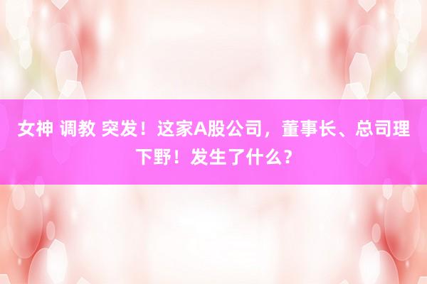 女神 调教 突发！这家A股公司，董事长、总司理下野！发生了什么？