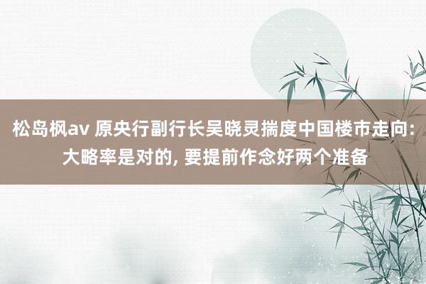 松岛枫av 原央行副行长吴晓灵揣度中国楼市走向: 大略率是对的， 要提前作念好两个准备