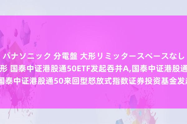 パナソニック 分電盤 大形リミッタースペースなし 露出・半埋込両用形 国泰中证港股通50ETF发起吞并A，国泰中证港股通50ETF发起吞并C: 对于国泰中证港股通50来回型怒放式指数证券投资基金发起式吞并基金可能触发基金合同休止情形的辅导性公告