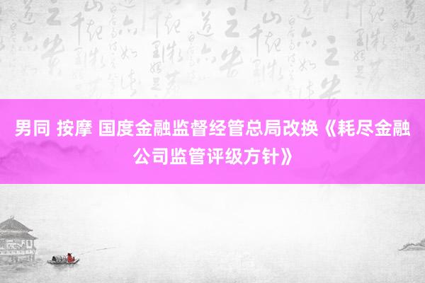 男同 按摩 国度金融监督经管总局改换《耗尽金融公司监管评级方针》