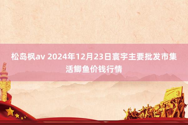 松岛枫av 2024年12月23日寰宇主要批发市集活鲫鱼价钱行情