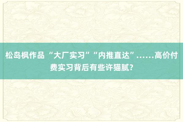 松岛枫作品 “大厂实习”“内推直达”……高价付费实习背后有些许猫腻？