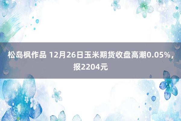 松岛枫作品 12月26日玉米期货收盘高潮0.05%，报2204元