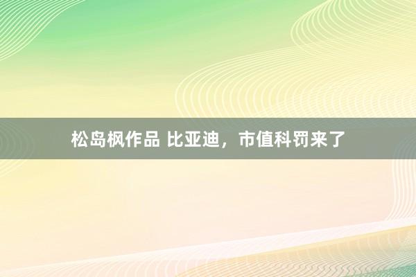 松岛枫作品 比亚迪，市值科罚来了